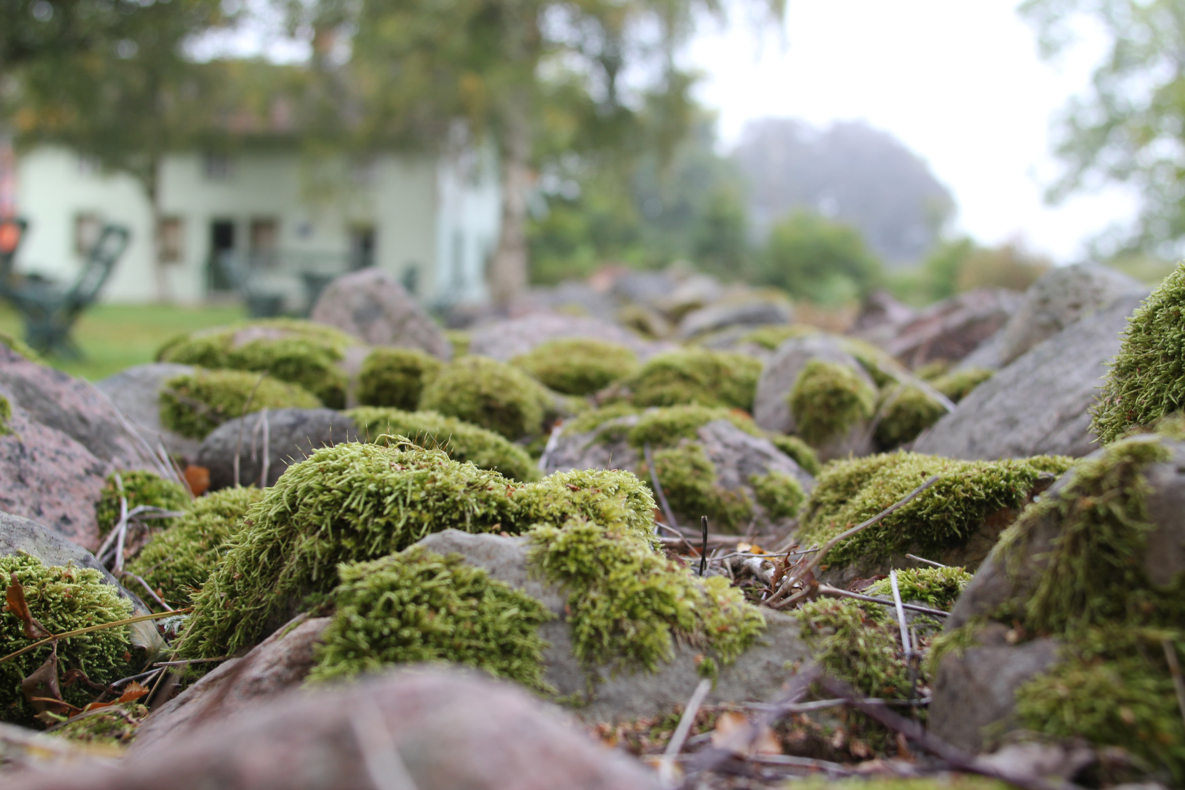 Stenmur med utsikt mot lanthandeln
