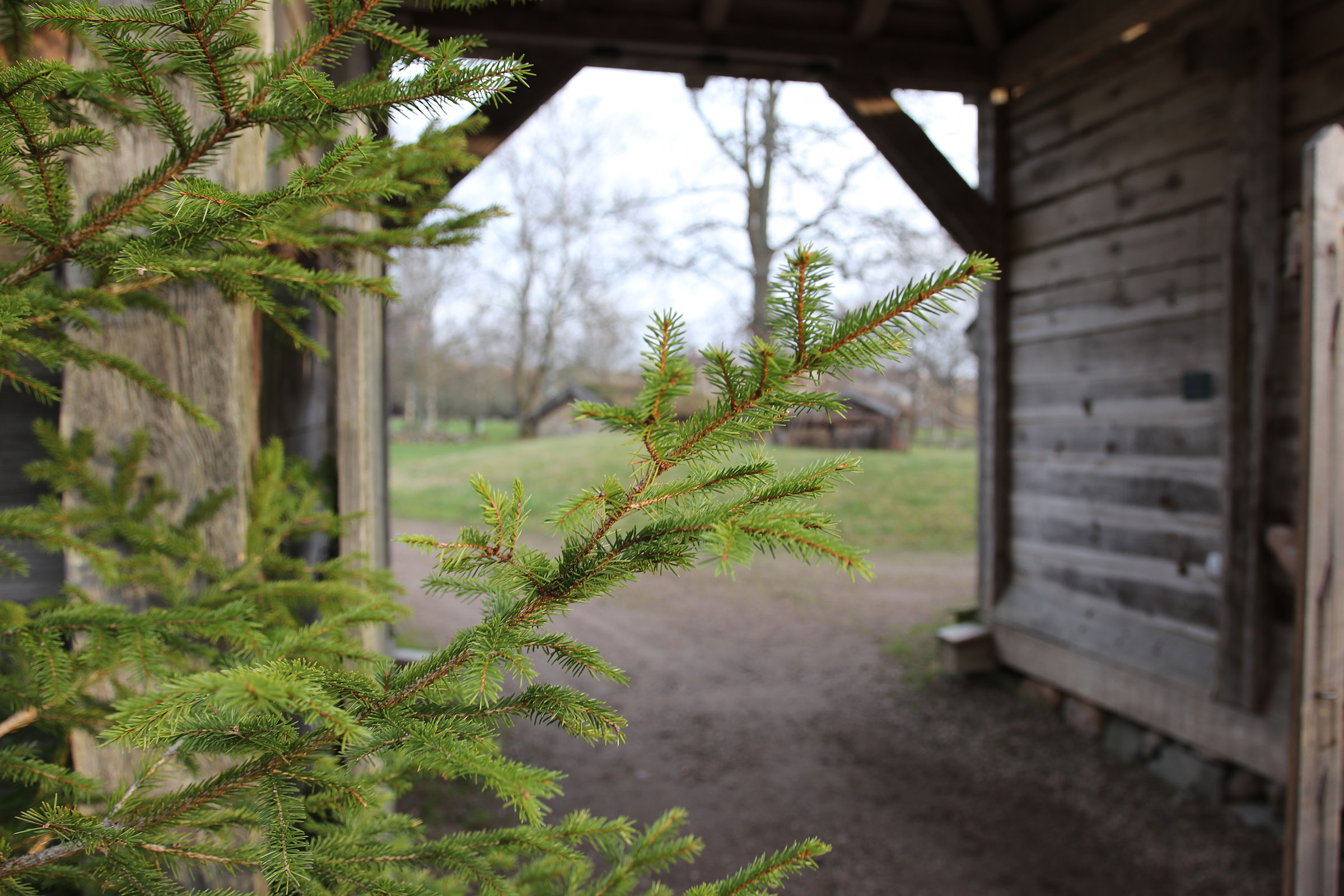 Grankvist framför portlider